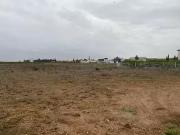 Montady 34310 Programme neuf terrain neuf à vendre