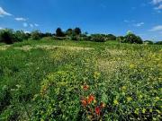 Montagnac 34530 Programme neuf terrain neuf à vendre