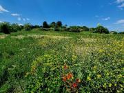 Montagnac Vente Terrain 34