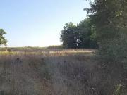 Montaigu de Quercy 82150 Achat / Vente maison