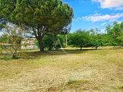 Montaigut sur Save 31530 Achat / Vente terrain