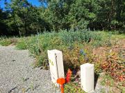 Montaigut sur Save Vente Terrain 31