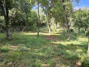 Montastruc la Conseillère Vente Terrain 31