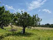 Montauban 82000 Achat / Vente terrain