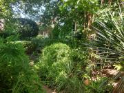 Montauban Vente Maison 82