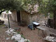 Montauroux, Mazet pour amoureux de la nature