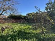 Montbazin 34560 Achat / Vente terrain