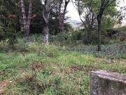 Montbazin Vente Terrain 34