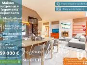 Montbéliard 25200 Achat / Vente maison 12 pièces t12