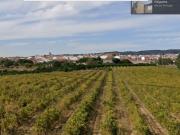 Monte Alentejano | Casa Térrea T3 | Armazém agrícola