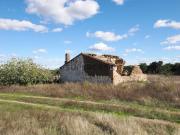 Monte alentejano com 7,9 ha e ruínas para reabilitação