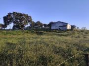 Monte alentejano com área total de 372.344,50 m² cerca...