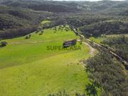 Monte Alentejano de 36ha com 3 ruinas Pego das Pias Odemira