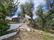 Monte Alentejano em Reguengos de Monsaraz