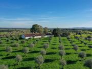 Monte Alentejano No Alandroal, Évora 572m² Santiago Maior