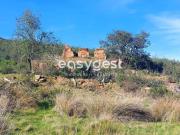 Monte Alentejano para recuperar localizado no concelho...