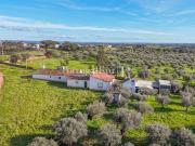 Monte com 4.400 m2 de terreno e habitação T3