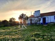 Monte de 405,750m2 com casa parcialmente renovada em...