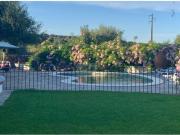 Monte do Laranjal estende se por uma área de seis...