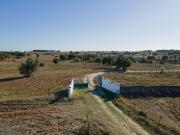 Monte para venda em São Cristóvão, Montemor O Novo,... Monte para venda em São Cristóvão, Montemor O Novo,...