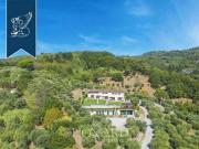 Montecatini Terme Pistoia 74533540