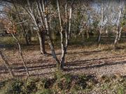 Montesquieu Volvestre Vente Terrain 31