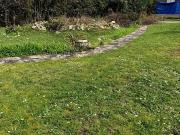 Montévrain 77144 Programme neuf terrain neuf à vendre