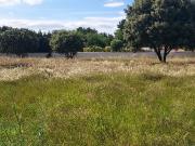 Montfavet Vente Terrain 84