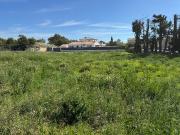 Montfavet Vente Terrain 84