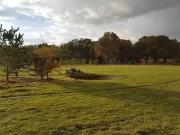 Montfort l'Amaury 78490 Achat / Vente maison 7 pièces t7