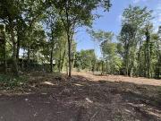 Montfort l'Amaury 78490 Achat / Vente terrain