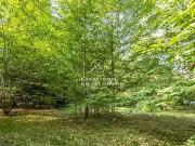 Montfort l'Amaury 78490 Achat / Vente terrain