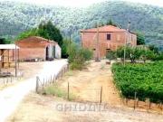 MONTIANO 12 vani 700mq