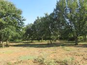 Montignargues Vente Terrain 30