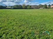 Montigny sur Loing 77690 Achat / Vente terrain