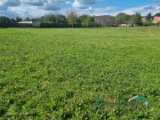 Montigny sur Loing: Terrain à bâtir 810 m2