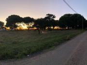 Montijo Montijo 92086488