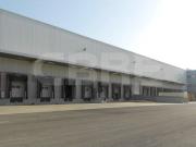 Montijo Montijo 93871582