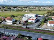 Montijo Setúbal 2870 549 88673534