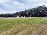 Montjoire Vente Terrain 31