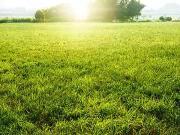 Montlouis sur Loire 37270 Programme neuf terrain neuf à...