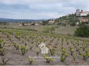 Montner 66720 Achat / Vente terrain