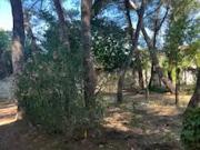 Montpellier 34000 Achat / Vente maison 10 pièces t10...