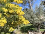 Montpellier 34000 Achat / Vente maison 5 pièces t5...