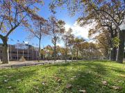 montpellier centre historique ecusson 34000