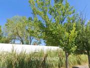 Montpellier Vente Appartement 34