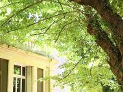 Montpellier Vente Propriété/château 34