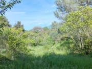 Montpellier Vente Terrain 34