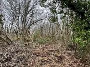 Montpon Ménestérol 24700 Achat / Vente terrain