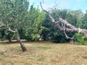 Montpon Ménestérol Vente Terrain 24